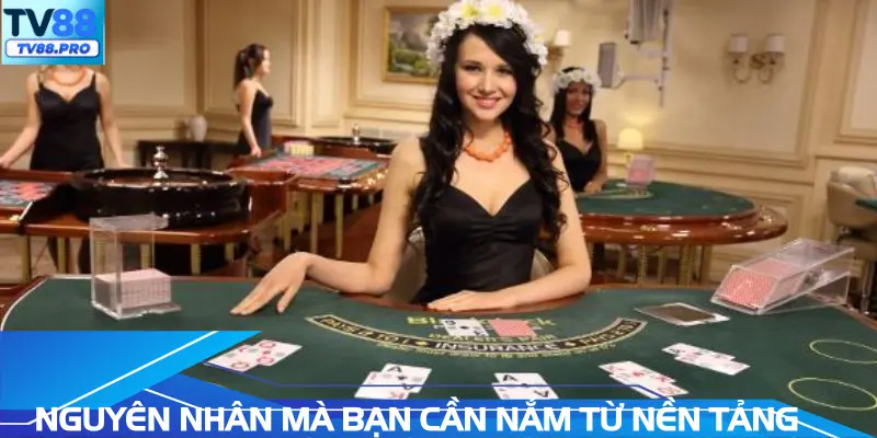 Nguyên nhân mà bạn cần nắm từ nền tảng