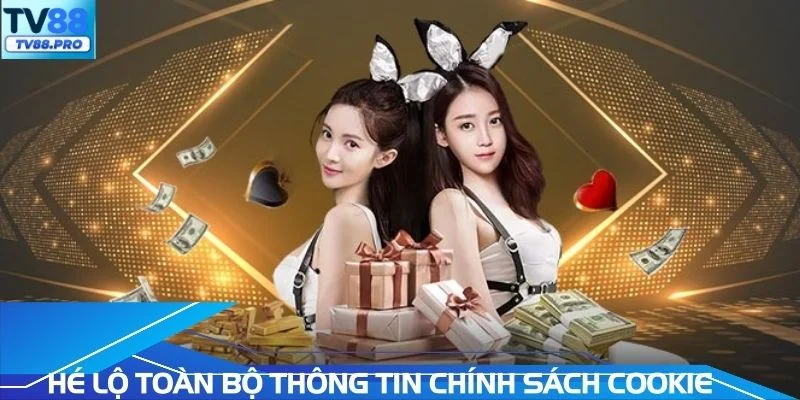 Hé lộ toàn bộ thông tin về chính sách cookie hiện hành