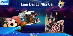 Đại Lý Với Hệ Thống Hoa Hồng Lớn, Thu Nhập Ổn Định