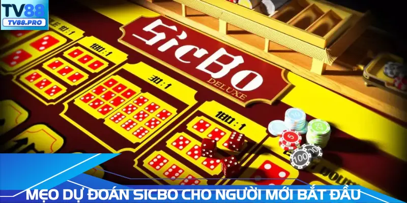 Mẹo dự đoán Sicbo cho người mới bắt đầu
