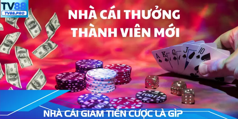nha-cai-giam-tien-cuoc-la-gi