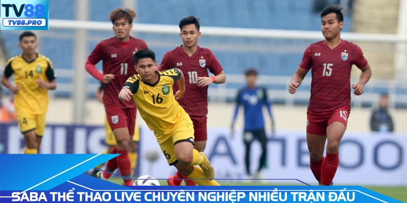 SABA thể thao live chuyên nghiệp nhiều trận đấu