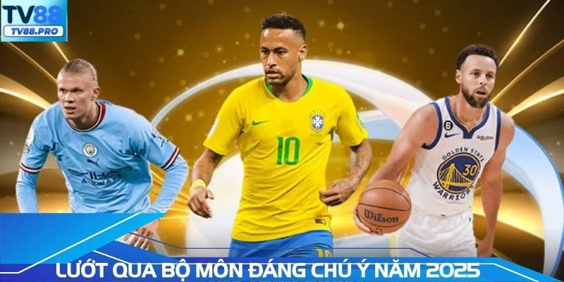 Lướt qua các bộ môn đáng chú ý trong năm 2025