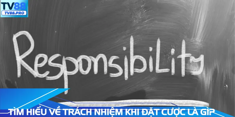 Tìm hiểu về trách nhiệm khi đặt cược là gì?
